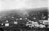 Waihi about 1900 – Seddon St